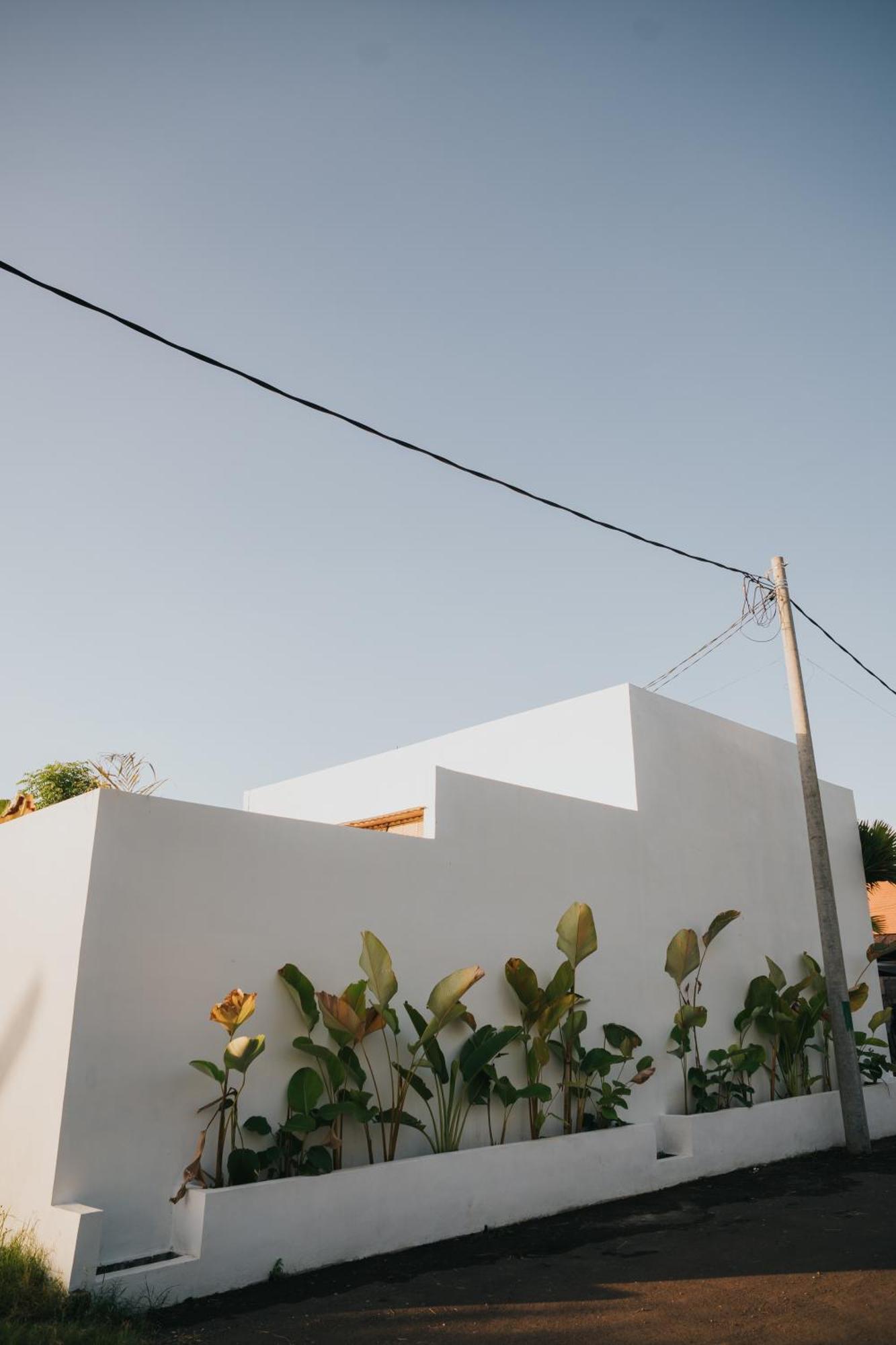 Brandon Villa Lovina With Private Pool Exterior foto